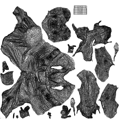 scanned 3D woman formal formalaffairs, photogrammetry people for Enscape and V-Ray, wireframe top-down view