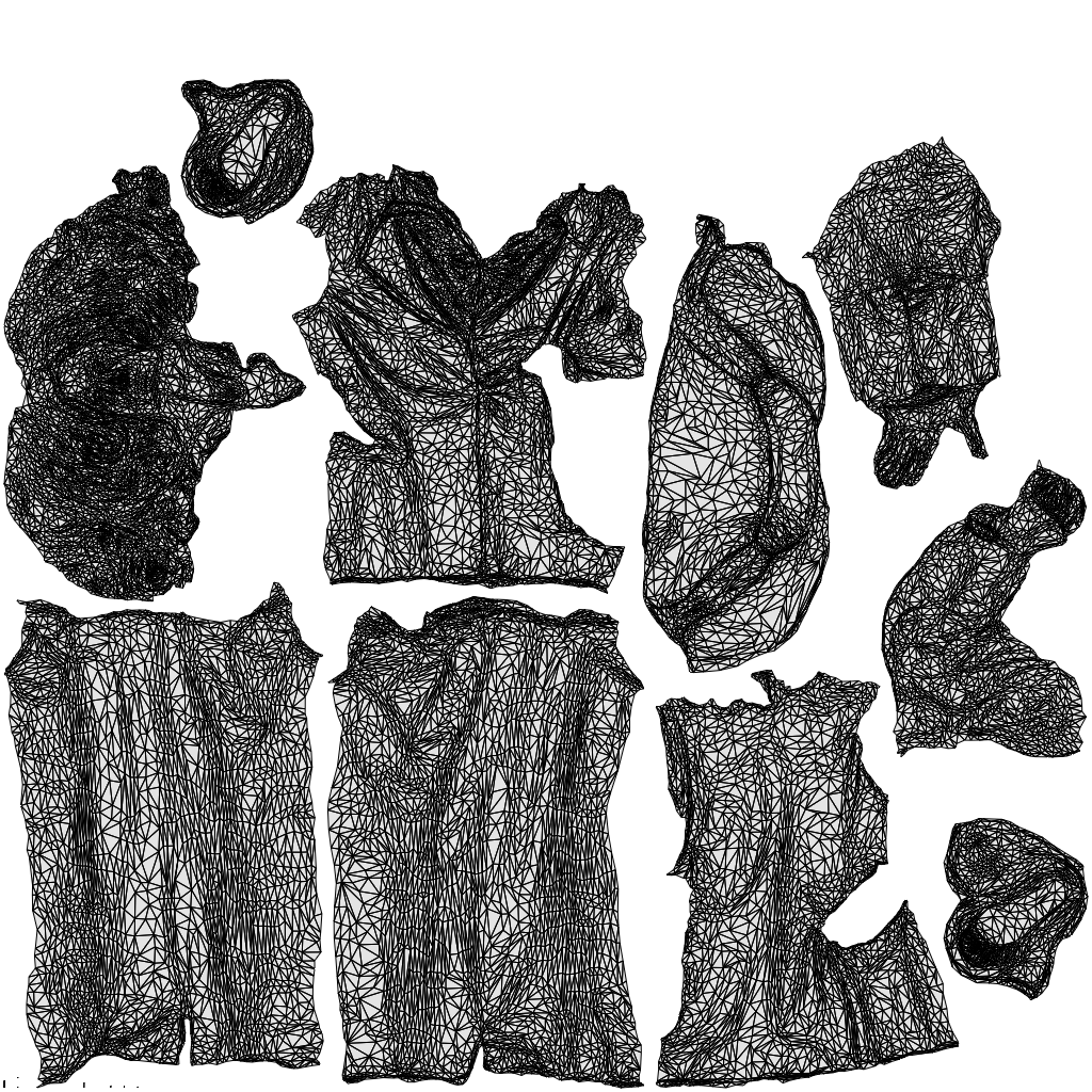 scanned 3D senior woman business, photogrammetry people for Enscape and V-Ray, wireframe top-down view
