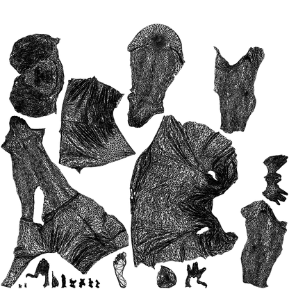 realistic 3D man casual sport, scanned archviz people for Blender and 3ds Max, wireframe top-down view