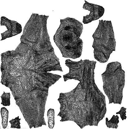 realistic 3D boy casual kids, scanned archviz people for Blender and 3ds Max, wireframe top-down view