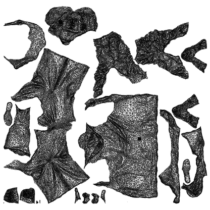 3D people model woman casual cycling, scanned human for 3ds Max rendering, wireframe top-down view