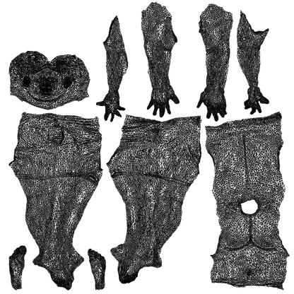 3D scanned man pool, photorealistic archviz people for Enscape and SketchUp, wireframe top-down view