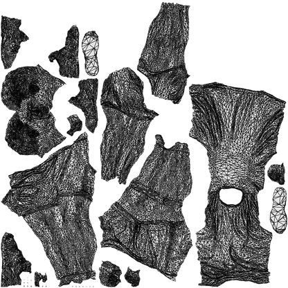 3D people model man sport, scanned human for 3ds Max rendering, wireframe top-down view