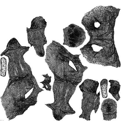 realistic 3D human boy casual kids, archviz people FBX OBJ for Blender, wireframe top-down view