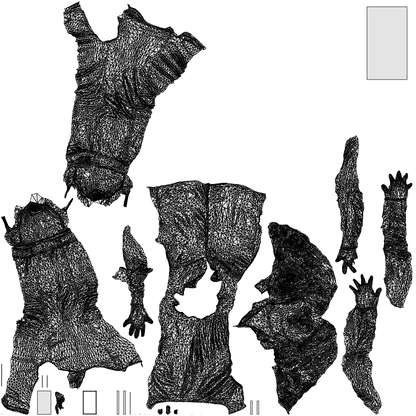 3D scanned woman walking casual, photorealistic archviz people for Enscape and SketchUp, wireframe top-down view