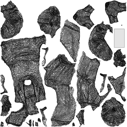 3D people model woman business sitting, scanned human for 3ds Max rendering, wireframe top-down view