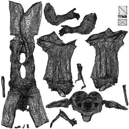 realistic 3D woman hospitality, scanned archviz people for Blender and 3ds Max, wireframe top-down view