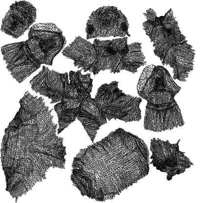 scanned 3D man casual mix, photogrammetry people for Enscape and V-Ray, wireframe top-down view