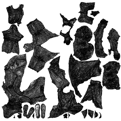 realistic 3D people girl kids, render-ready for V-Ray and Corona, FBX OBJ, wireframe top-down view