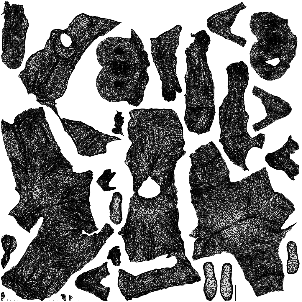 scanned 3D senior woman standing, photogrammetry people for Enscape and V-Ray, wireframe top-down view