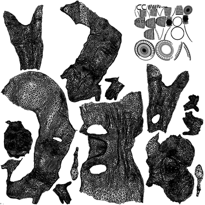 3D scanned senior woman sitting casual, photorealistic archviz people for Enscape and SketchUp, wireframe top-down view