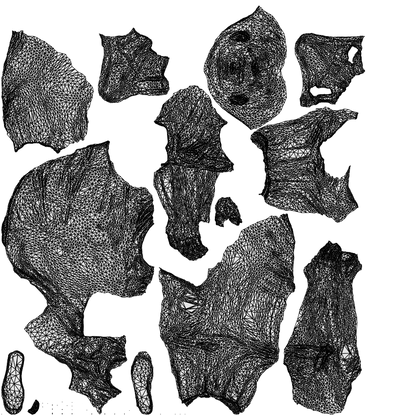 3D scanned man sitting casual, photorealistic archviz people for Enscape and SketchUp, wireframe top-down view