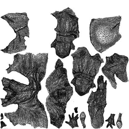 realistic 3D woman casual sitting, scanned archviz people for Blender and 3ds Max, wireframe top-down view