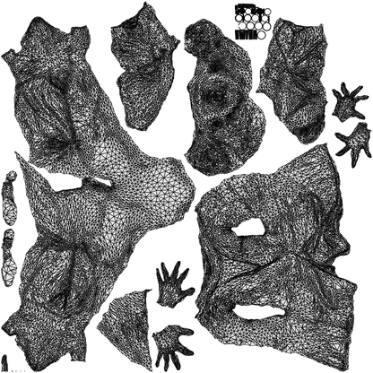 scanned 3D woman business, photogrammetry people for Enscape and V-Ray, wireframe top-down view