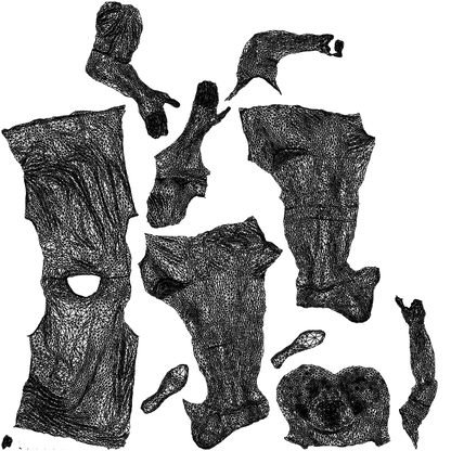 realistic 3D man sport, scanned archviz people for Blender and 3ds Max, wireframe top-down view
