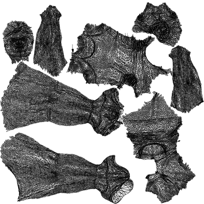 realistic 3D people woman sport, render-ready for V-Ray and Corona, FBX OBJ, wireframe top-down view
