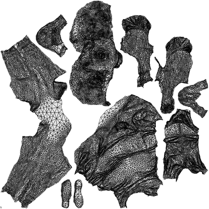 realistic 3D girl kids, scanned archviz people for Blender and 3ds Max, wireframe top-down view