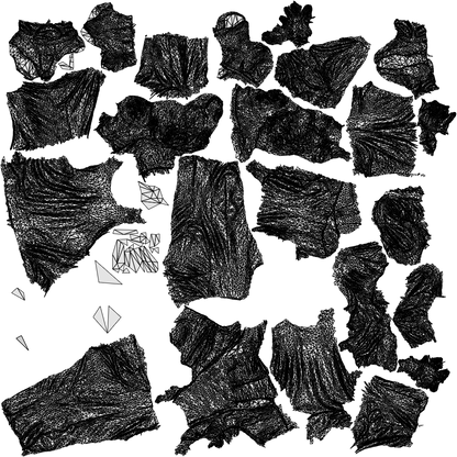 scanned 3D senior woman business shopping, photogrammetry people for Enscape and V-Ray, wireframe top-down view