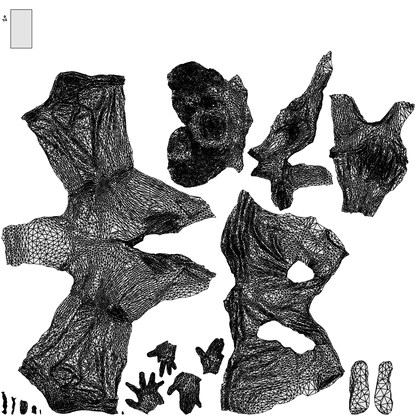realistic 3D woman casual sitting, scanned archviz people for Blender and 3ds Max, wireframe top-down view