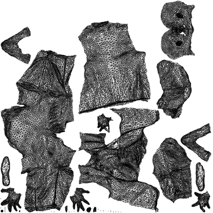 3D people model man business, scanned human for 3ds Max rendering, wireframe top-down view