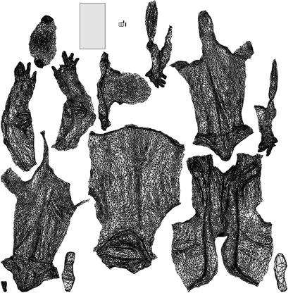 3D people model man business, scanned human for 3ds Max rendering, wireframe top-down view