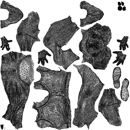 3D human model woman casual sitting, photogrammetry scanned person for archviz, wireframe top-down view