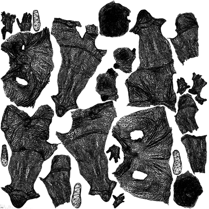 scanned 3D woman casual couple, photogrammetry people for Enscape and V-Ray, wireframe top-down view
