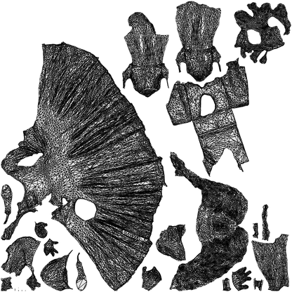 scanned 3D woman casual walking, photogrammetry people for Enscape and V-Ray, wireframe top-down view