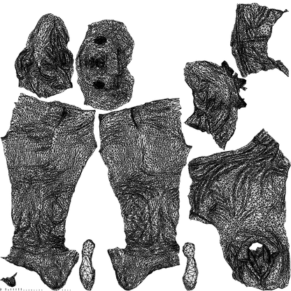 realistic 3D people man business, render-ready for V-Ray and Corona, FBX OBJ, wireframe top-down view