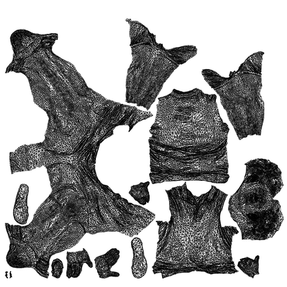 scanned 3D man casual cycling, photogrammetry people for Enscape and V-Ray, wireframe top-down view
