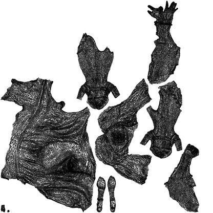 realistic 3D people woman formal sitting, render-ready for V-Ray and Corona, FBX OBJ, wireframe top-down view
