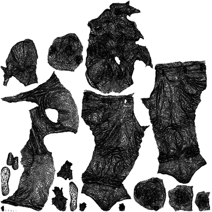 3D people model boy casual kids, scanned human for 3ds Max rendering, wireframe top-down view