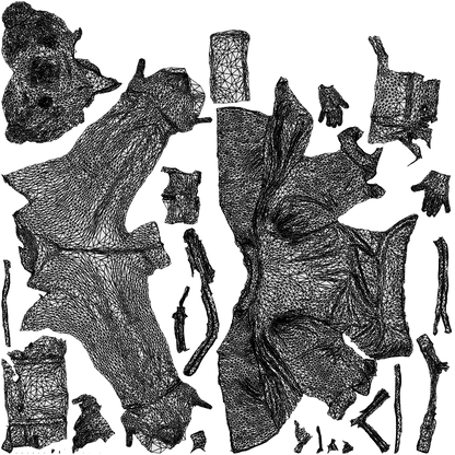 realistic 3D human woman business walking, archviz people FBX OBJ for Blender, wireframe top-down view
