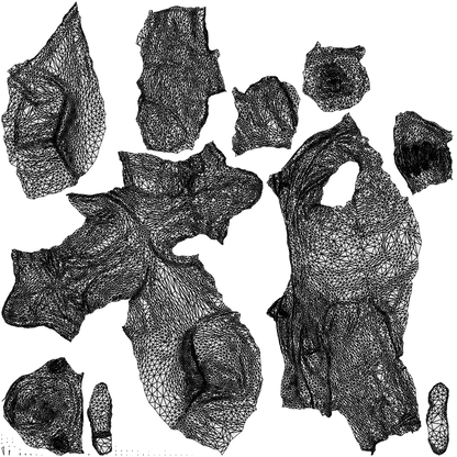 3D people model man business, scanned human for 3ds Max rendering, wireframe top-down view