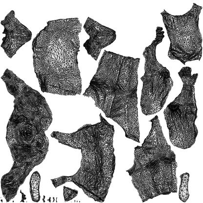realistic 3D woman casual sitting, scanned archviz people for Blender and 3ds Max, wireframe top-down view