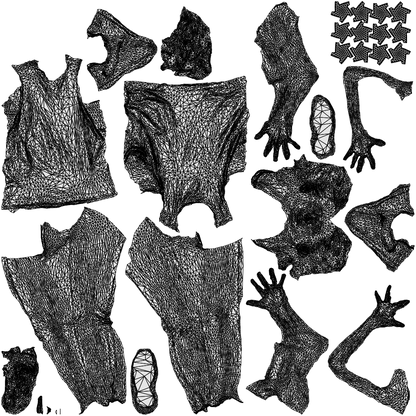 3D people model woman sport, scanned human for 3ds Max rendering, wireframe top-down view