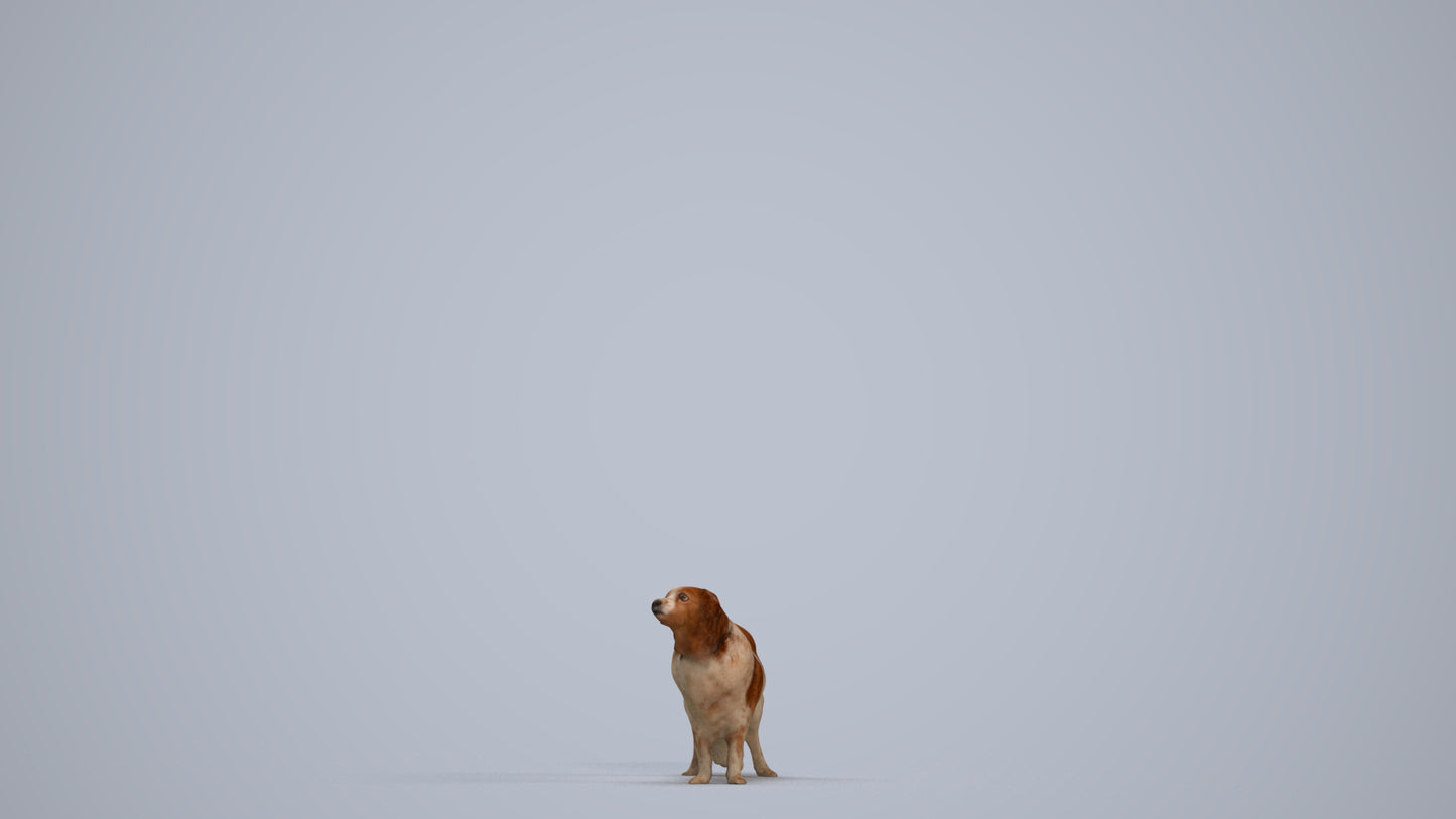 photogrammetry 3D person misc, realistic human model archviz FBX, standing pose render