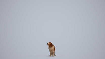 photogrammetry 3D person misc, realistic human model archviz FBX, standing pose render