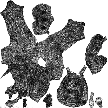 realistic 3D people boy kids, render-ready for V-Ray and Corona, FBX OBJ, wireframe top-down view