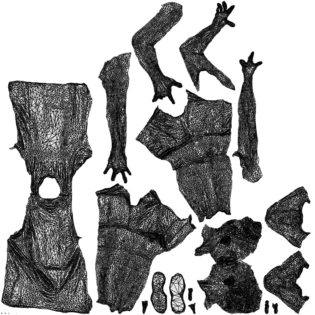 3D people model woman sport, scanned human for 3ds Max rendering, wireframe top-down view