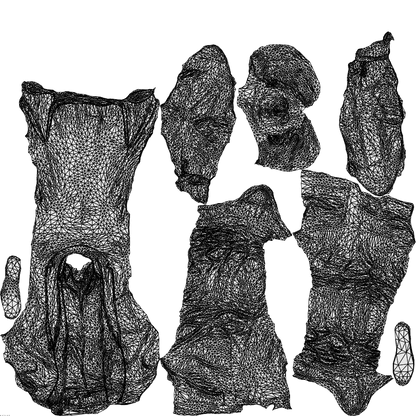 realistic 3D man business, scanned archviz people for Blender and 3ds Max, wireframe top-down view