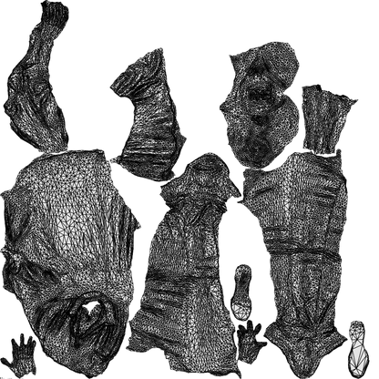 3D people model woman casual walking, scanned human for 3ds Max rendering, wireframe top-down view
