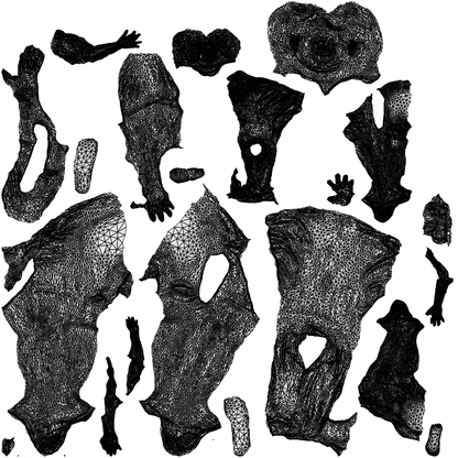 realistic 3D boy kids, scanned archviz people for Blender and 3ds Max, wireframe top-down view