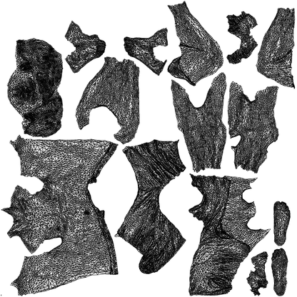 3D people model man pool, scanned human for 3ds Max rendering, wireframe top-down view