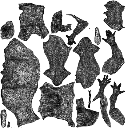 realistic 3D woman casual sitting, scanned archviz people for Blender and 3ds Max, wireframe top-down view