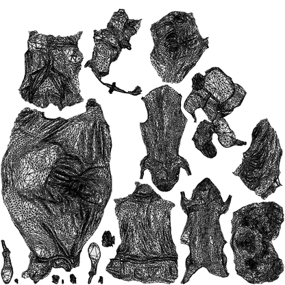 realistic 3D woman casual sitting, scanned archviz people for Blender and 3ds Max, wireframe top-down view