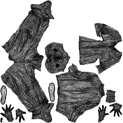 3D people model man casual standing, scanned human for 3ds Max rendering, wireframe top-down view