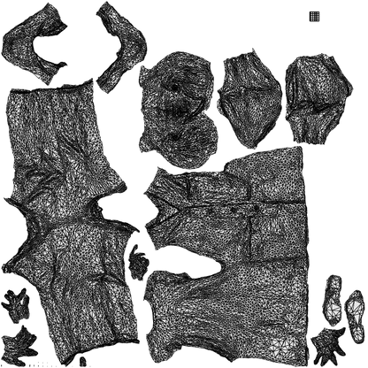 photogrammetry 3D senior woman medical, realistic human model archviz FBX, wireframe top-down view