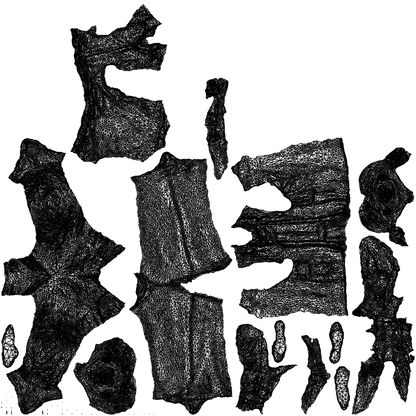 scanned 3D woman business, photogrammetry people for Enscape and V-Ray, wireframe top-down view