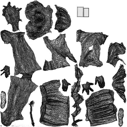 3D people model woman casual walking, scanned human for 3ds Max rendering, wireframe top-down view